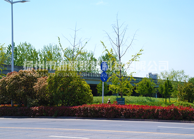 蜜桃视频传媒入口